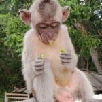 The GAD Uluwatu Tour - Final Thoughts