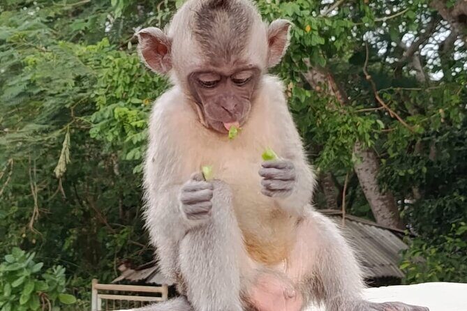 The GAD Uluwatu Tour - Final Thoughts