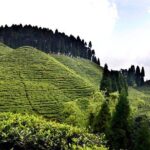 The Land Mark Tour (Nautical Day Darjeeling To Mirik crusade) - Final thoughts