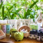 The Meditation - The Experience of the Treatments