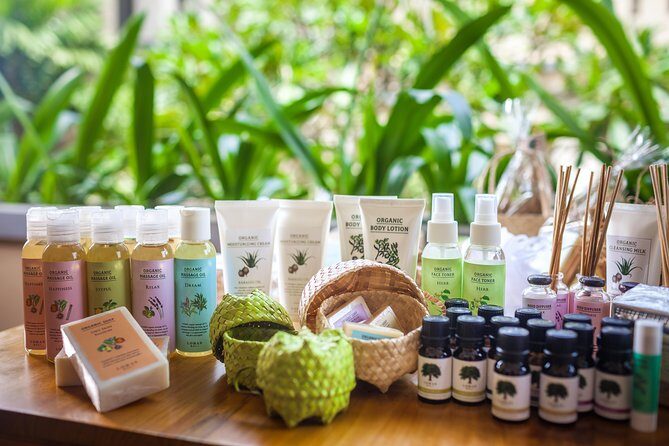 The Meditation - The Experience of the Treatments