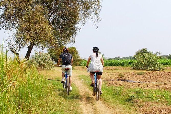 The Mekong Island Biking Tour and Lunch with farmers - Who Should Consider This Tour?
