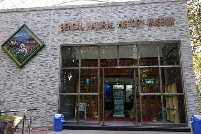 The Travel Tart (5 Point). - Authentic Experience and Value