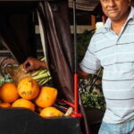 The True Essence of Colombo:Private Highlights & Hidden Gems - Highlights and Key Stops