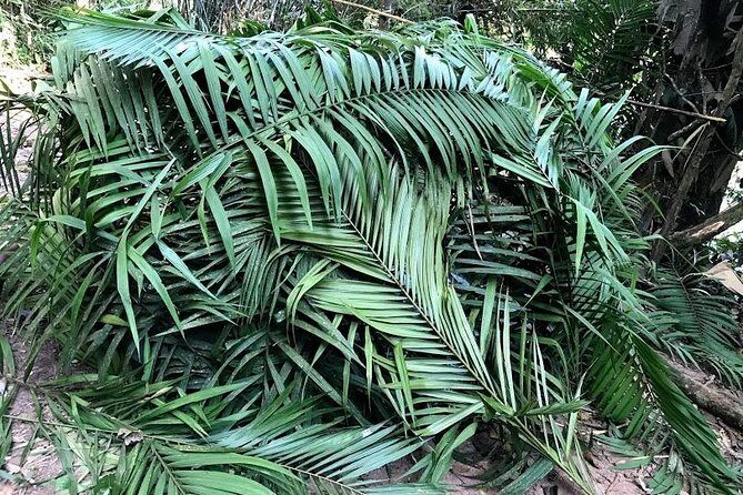 The Ultimate Hikers Choice - 5 days forest trek with homestay and camping - What Does the Tour Include and Exclude?