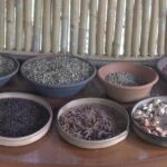 Things to do - Breakfast with Orang Utan - The Sum Up: Why Choose This Tour?