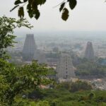 Tiru Arunachala Tours - Tiruvannamalai Tour Guide - Who Should Consider This Tour?