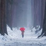 Togakushi Shrine Private Tour with English Local Guide - Why This Tour Is a Great Choice