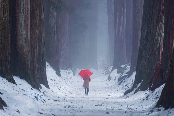 Togakushi Shrine Private Tour with English Local Guide - Why This Tour Is a Great Choice