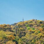 Tokushima Private Customizable Full Day Tour - FAQs