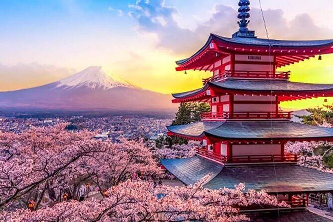 Tokyo 10-Hour Arakurayama, Oishi Park & Lake Yamanaka Group Tour - An In-Depth Look at the Tour Experience