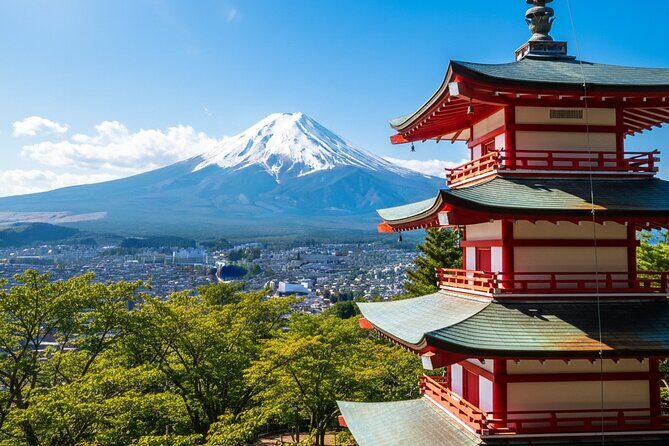 Tokyo 10 Hour Arakurayama Sengen Park & Lake Ashi Private Tour - The Sum Up