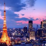 Tokyo 10 Hour Imperial Palace & Skytree & Akihabara Private Tour - What Travelers Say (Based on Internal Reviews and Experiences)