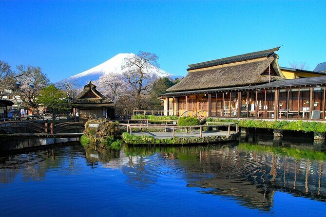 Tokyo: 10-hour Mount Fuji Private Customizable Day Tour - Pricing and Value: Is It Worth It?