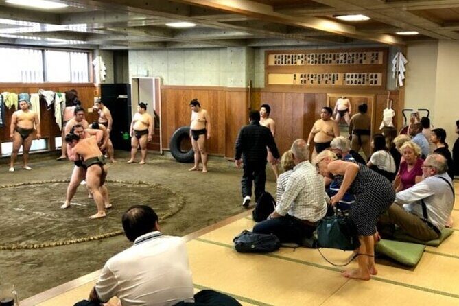 Tokyo 5hr Private Tour & Sumo Wrestler Morning Practice Viewing - A Detailed Look at the Tour Experience