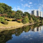 Tokyo Afternoon Half Day City Tour with Hotel pickup by Gray Line - Final Thoughts