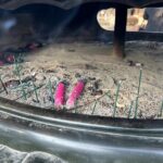 Tokyo: An Unique temple Walking Tour for cat lovers - The Sweet Pause: Maneki Neko-Inspired Treats