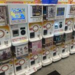 Tokyo Anime and Game Shopping Tour in Ikebukuro - FAQ
