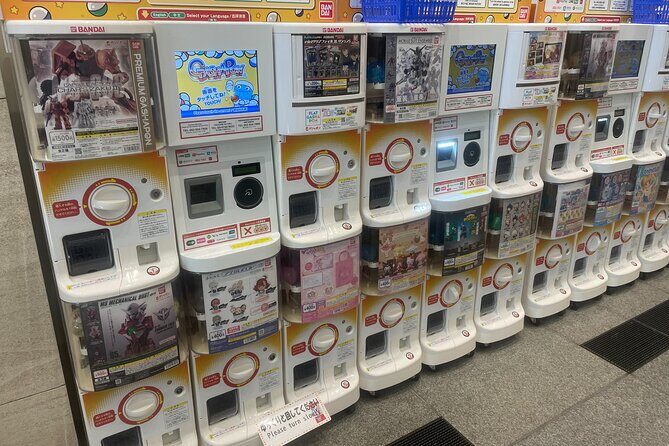 Tokyo Anime and Game Shopping Tour in Ikebukuro - FAQ