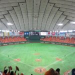Tokyo Baseball Experience Tour with Expert English-Speaking Guide - Final Thoughts: Is It Worth It?