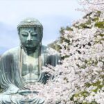 Tokyo: Bus Tour to Kamakura Great Buddha & Enoshima with Pickup - Who Will Enjoy This Tour?