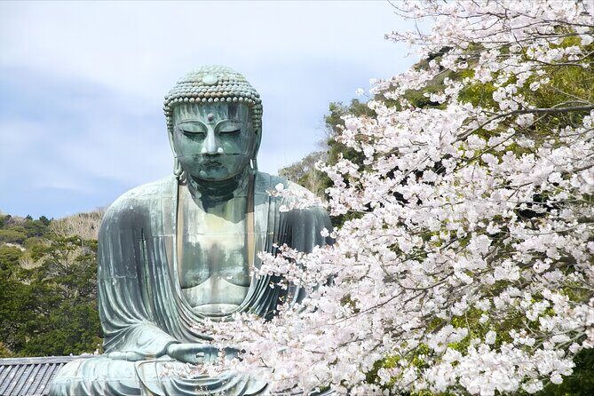 Tokyo: Bus Tour to Kamakura Great Buddha & Enoshima with Pickup - Who Will Enjoy This Tour?