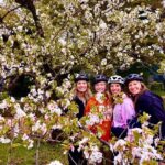 Tokyo Cherry Blossoms blooming spots E-bike Tour, 3hrs - Final Thoughts