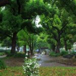 Tokyo City Walking Tour: Tokyo Tower Zojoji Temple and Shiba Park - A Closer Look at the Tokyo City Walking Tour