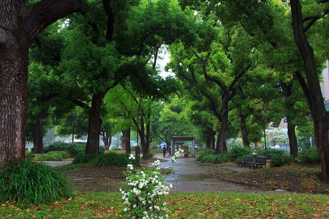 Tokyo City Walking Tour: Tokyo Tower Zojoji Temple and Shiba Park - A Closer Look at the Tokyo City Walking Tour