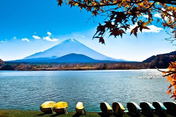 Tokyo: Customized Mt. Fuji & Hakone Sightseeing Private Day Trip - The Experience: What Travelers Say