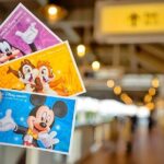 Tokyo Disneyland 1-Day Pass with Private Hotel Pick-Up & Drop-Off - A Practical Guide to the Tokyo Disneyland Day Trip