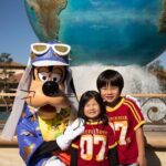 Tokyo DisneySea 1-Day Ticket & Private Transfer - Practicalities and Considerations