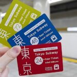 Tokyo Disneysea Ticket & Tokyo Subway Pass - Why This Tour Works for You