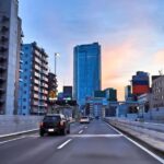 Tokyo: Driving Lessons with an Instructor - Who Is This Experience Best For?