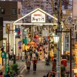Tokyo, Encounter Cultural Heritage & enjoy the old town - Final Thoughts