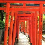 Tokyo Food Adventure: Street food, Teppanyaki cuisine, shrine etc - What Travelers Can Expect