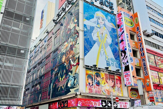 Tokyo Full Day Asakusa, Akihabara, Harajuku and Shinjuku - Exploring Tokyo in a Day: What to Expect