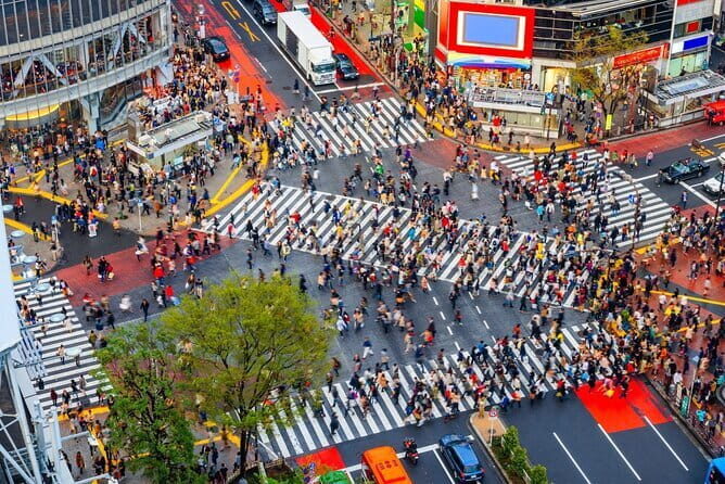 Tokyo Full Day Customize Private Tour with English Guide - The Sum Up: Is This Tour Worth It?