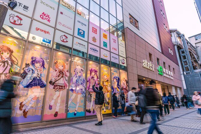 Tokyo, Guided Tour Exploring Anime and Electronics in Akihabara - Why Choose This Tour?