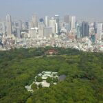 Tokyo Harajuku Meiji Jingu Shrine Shinto Culture Walking Tour - A Detailed Look at the Tokyo Harajuku Meiji Jingu Shrine Tour
