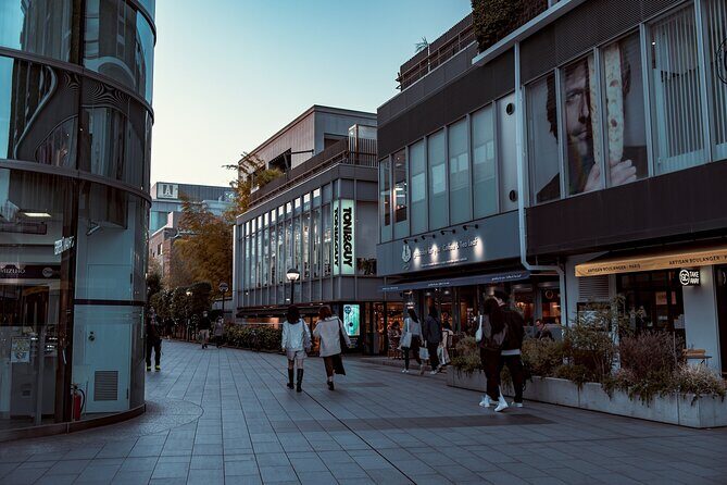 Tokyo Harajuku Walking Tour Meiji Jingu Yoyogi Park and More - Authentic Experiences Highlighted by Travelers