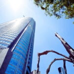 Tokyo Highlight Private Tour by Car with English Speaking Driver - FAQs