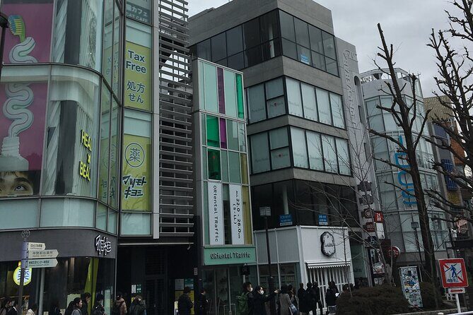 Tokyo Highlights Food and Culture - Who Should Consider This Tour?