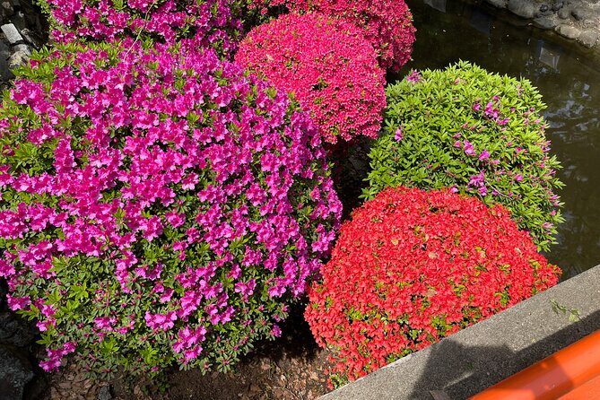 Tokyo Historian and Photographer Private Tour - A Detailed Look at What This Tour Offers