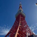 Tokyo in Frames: Instagram-Worthy Private Full-Day City Tour - The Sum Up