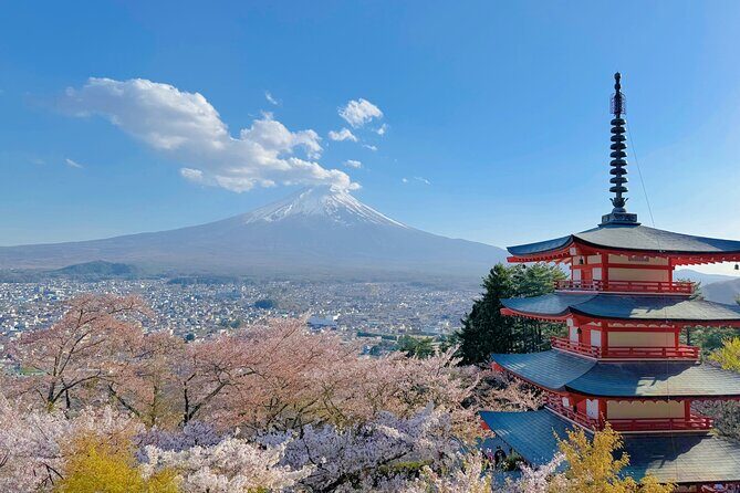 Tokyo: Instagram-Worthy Mt Fuji & Lake Kawaguchiko Day Trip - What Travelers Say: Authentic Opinions and Tips