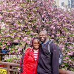 Tokyo Meguro River Private Cultural Tour with Licensed Guide - The Sum Up: Who Should Consider This Tour?