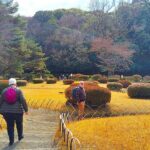 Tokyo: Meiji Jingu Shrine & Inner Garden Private Tour (2h) - Final Thoughts