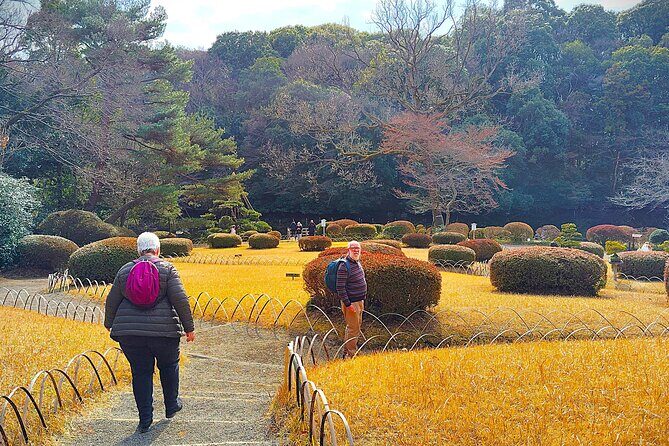 Tokyo: Meiji Jingu Shrine & Inner Garden Private Tour (2h) - Final Thoughts