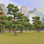 Tokyo Morning Small Group Tour - Who Should Consider This Tour?